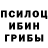 Псилоцибиновые грибы мицелий Steak lin