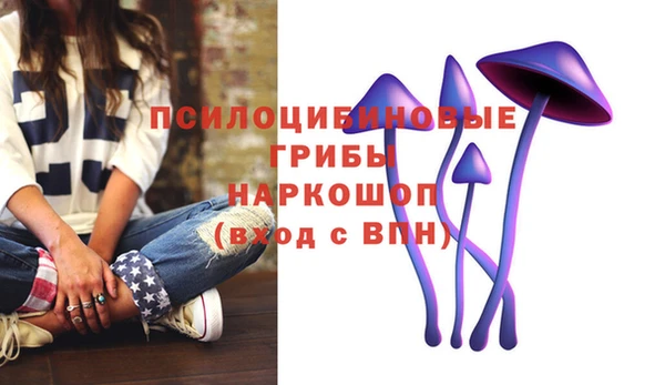 марки lsd Новозыбков