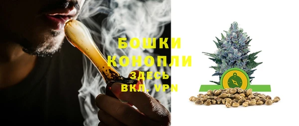 дживик Нефтегорск