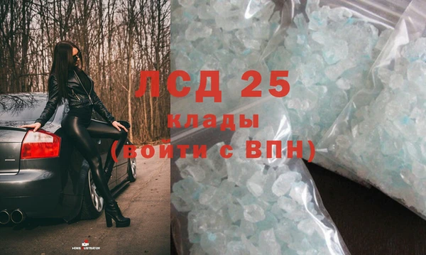 винт Нея