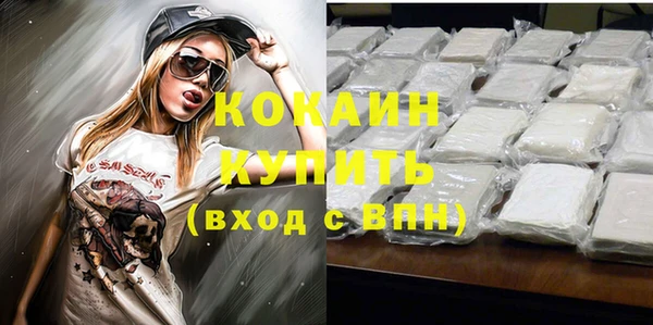 винт Нея