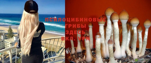 винт Нея
