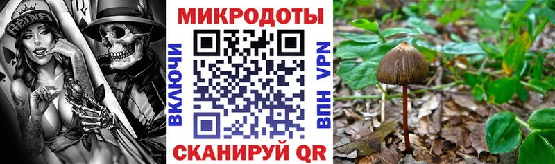 Купить где  Павловская  Галлюциногенные грибы MAGIC MUSHROOMS 