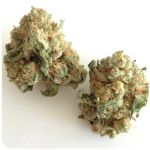 Шишки "White Widow"  (Белая вдова)  Гидропоника -  Бошка VHQ в Павловской